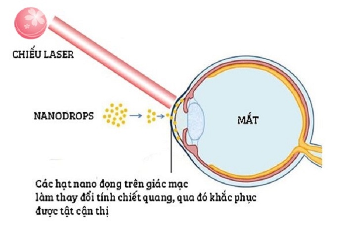 Cơ chế hoạt động của thuốc nhỏ mắt 