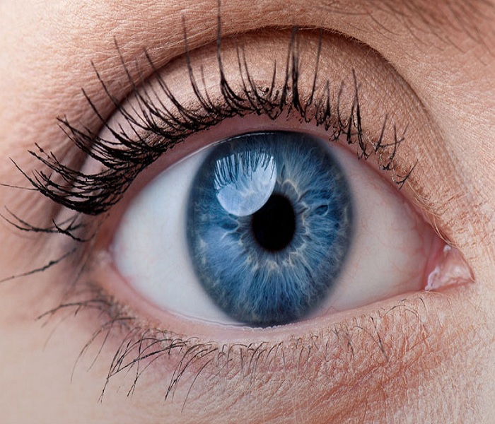 Tuyến lệ là gì? Chức năng của tuyến lệ đối với đôi mắt của chúng ta