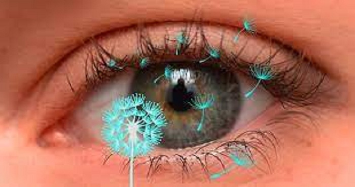 Dị ứng mắt theo mùa cho đến nay là loại dị ứng mắt phổ biến nhất