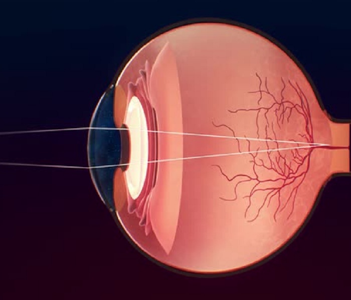 Cấu tạo của mắt và cơ chế hoạt động – Giải mã một số bí ẩn của đôi mắt